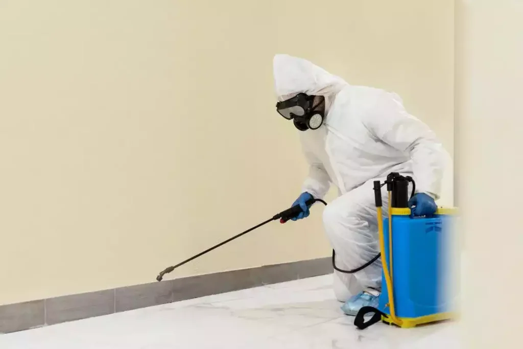 acheteur vendeur qui paie le traitement termites