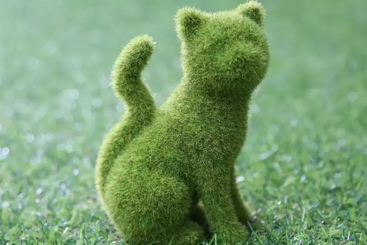 gazon-synthétique-et-chien-avis