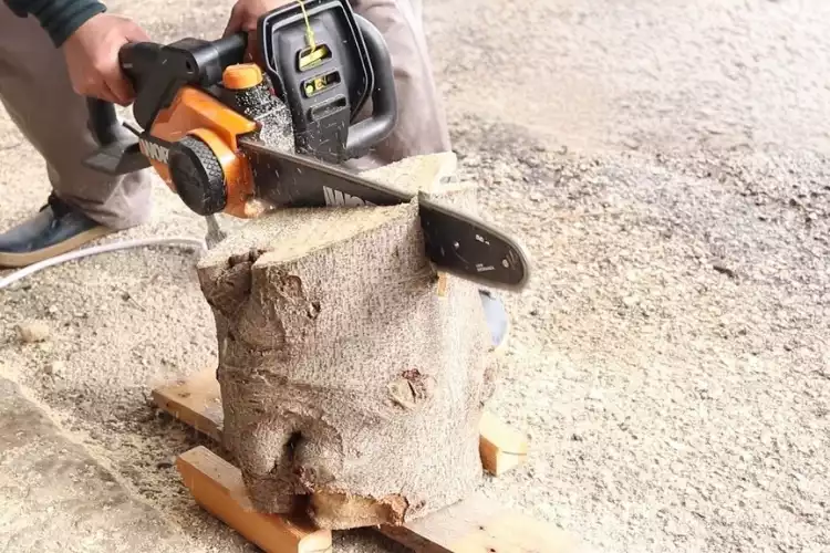 bois-de-chauffage-figuier