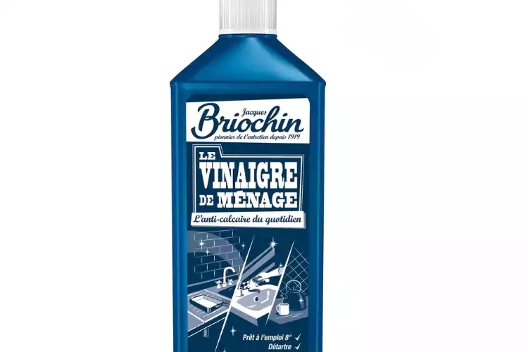 petit-moucheron-noir-salle-de-bain