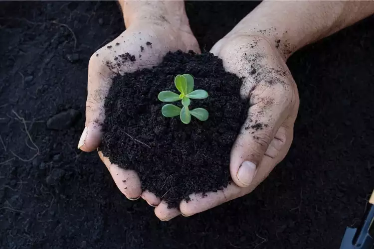 sol-limoneux-avantages-inconvénients