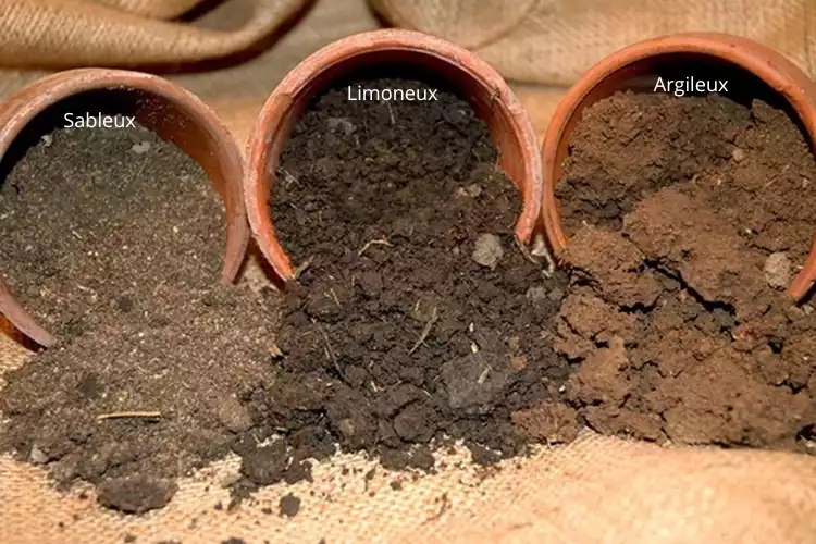 terre-limoneuse