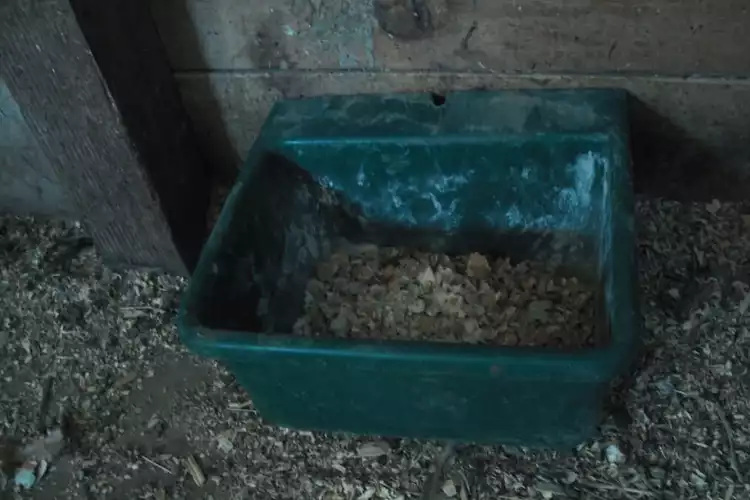 coquille-d-oeuf-compost