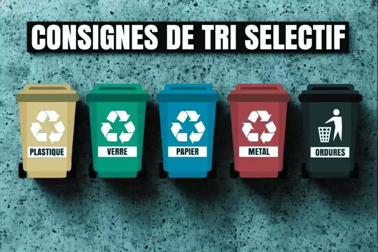 tri-des-poubelles-jaunes